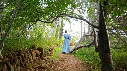 From Rejection to Bestseller: L. M. Montgomery’s Journey of Dedication and Discipline