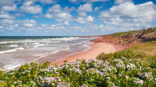 Exploring L.M. Montgomery’s Beloved Prince Edward Island